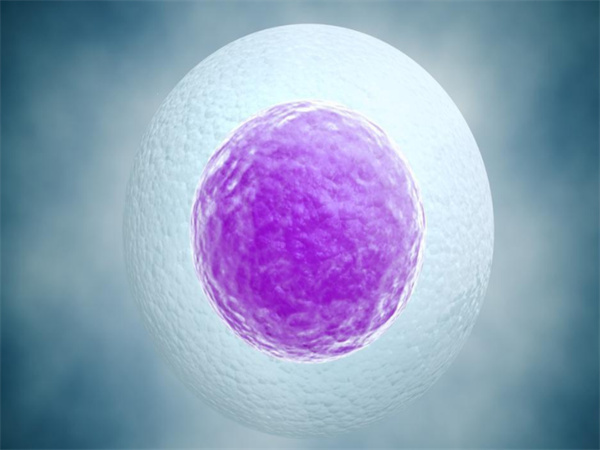 现在中国人做试管婴儿去哪国？美国、泰国、日本优势全解析